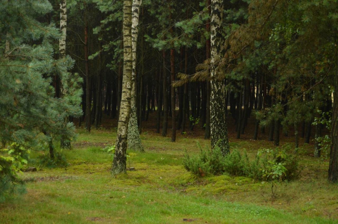Zofijowka Villa Osjaków Eksteriør bilde