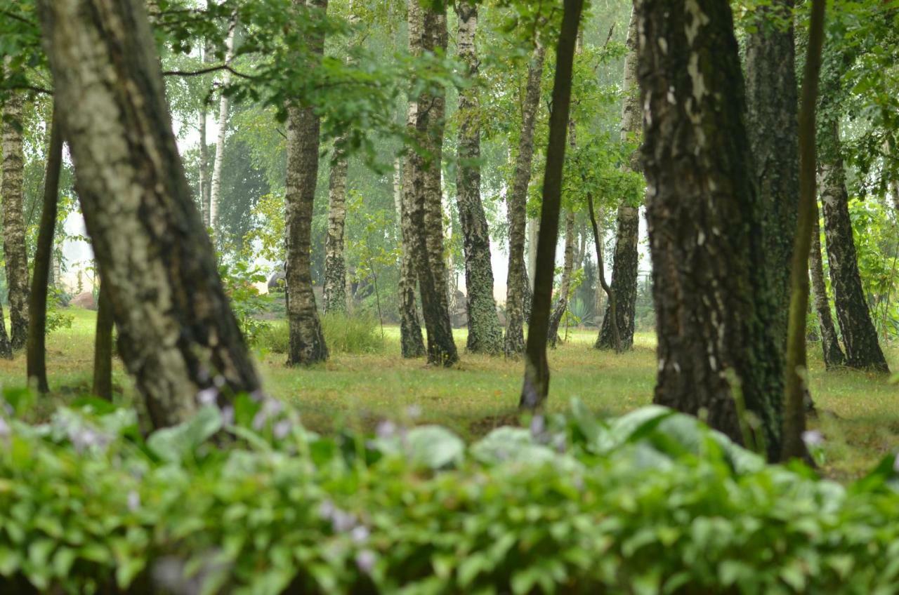 Zofijowka Villa Osjaków Eksteriør bilde